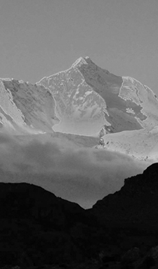 吴某某——**肝胆外科专家 中国科学院院士