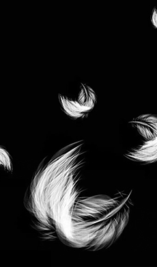 张XXX——内科学系主任 教授 主任医师